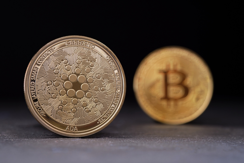 GCW Management review